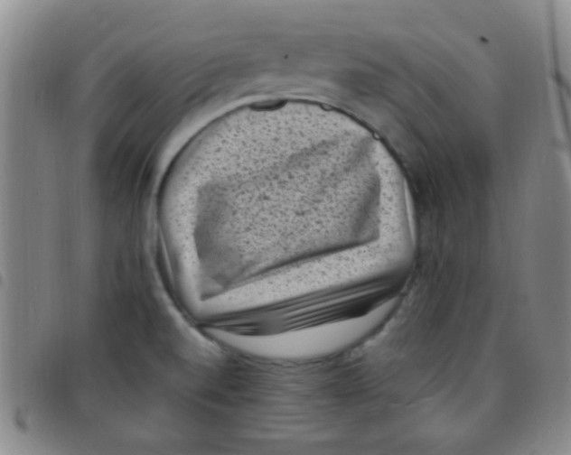 X0000097501520200803142008