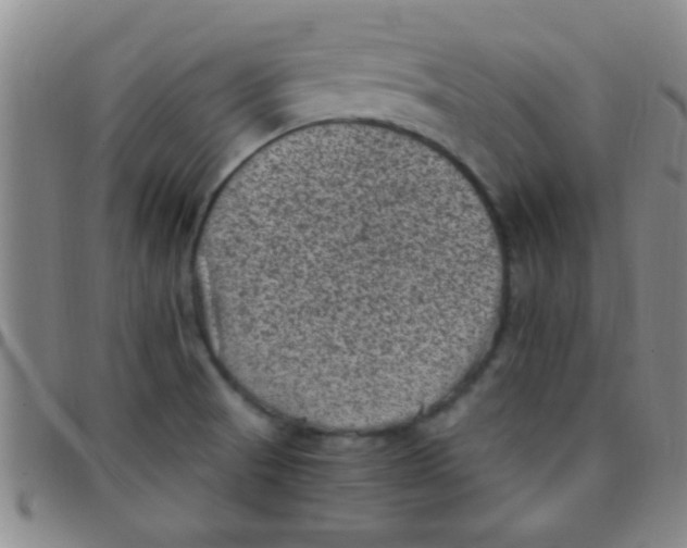 X0000097501521200803142008