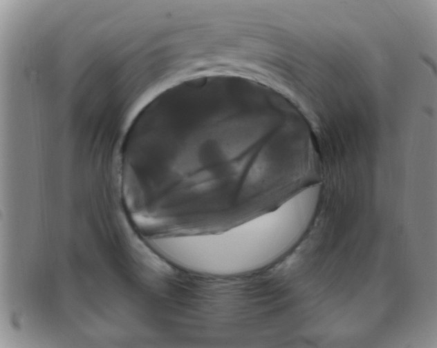 X0000097501522200803142008