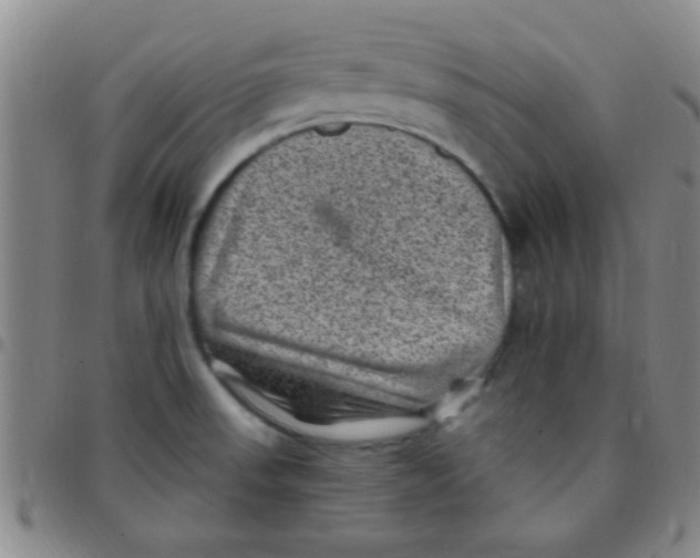 X0000097501523200803142008