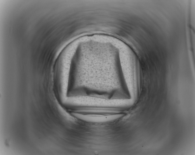 X0000097501524200803142008