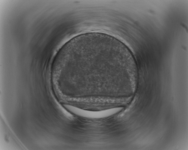 X0000097501525200803142008