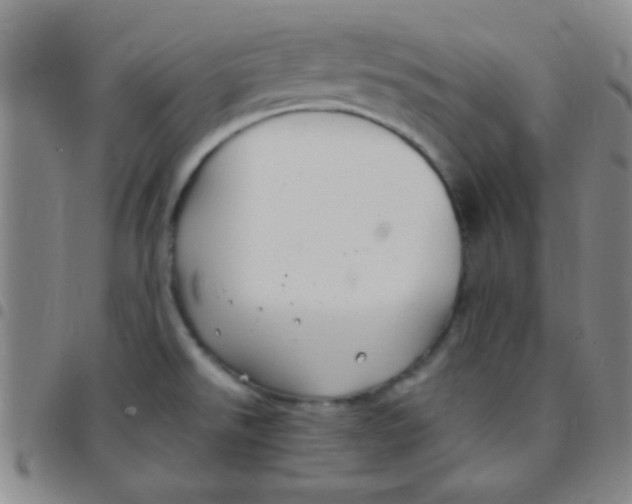 X0000097501526200803142008