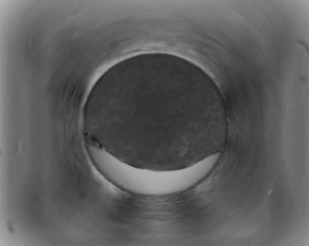 X0000097501527200803142008