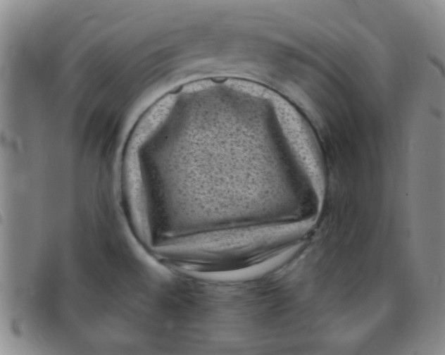 X0000097501528200803142008