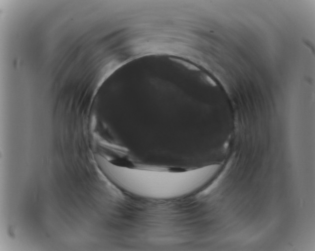 X0000097501529200803142008