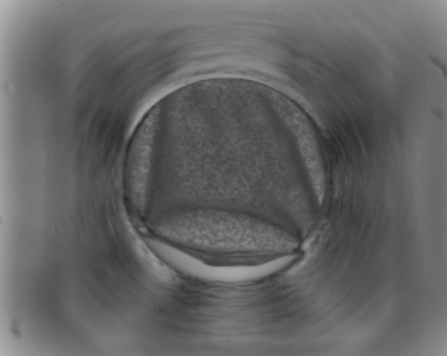 X0000097501530200803142008