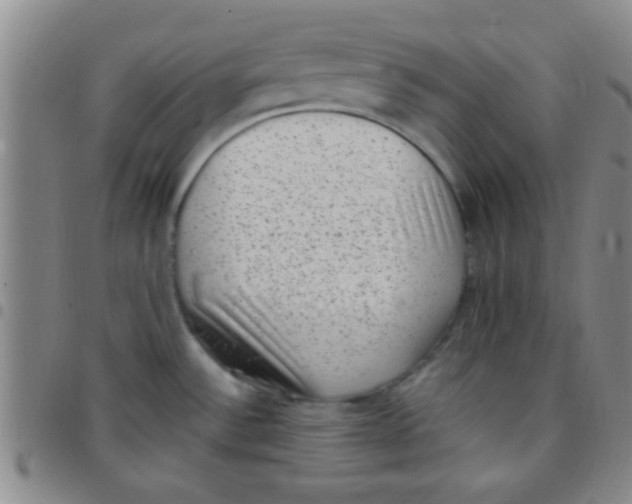 X0000097501532200803142008