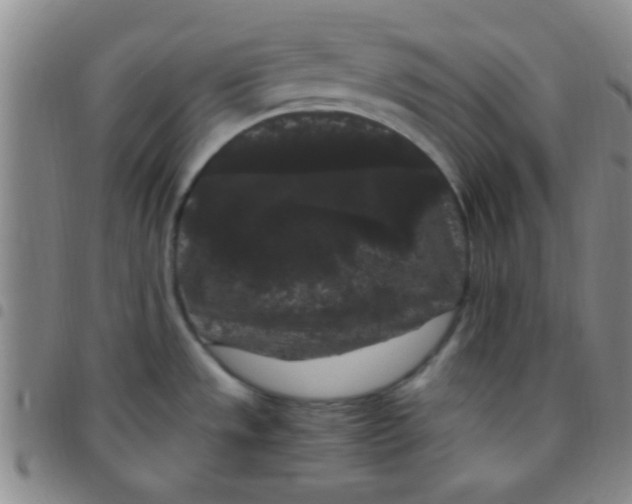 X0000097501533200803142008