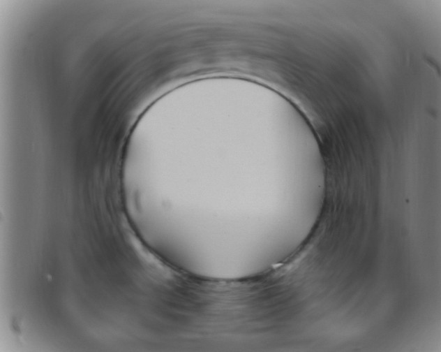 X0000097501534200803142008