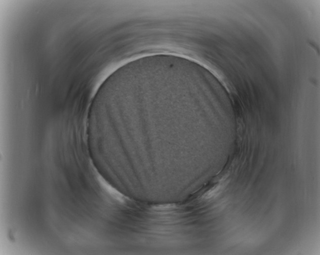 X0000097501535200803142008