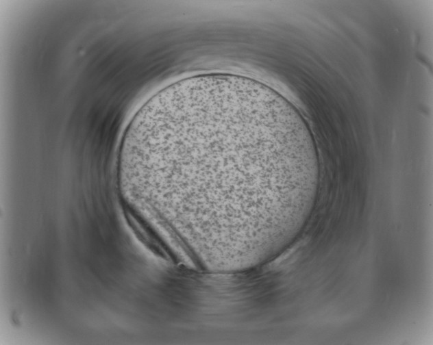 X0000097501536200803142008