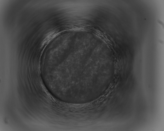 X0000097500002200803201603