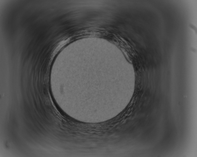 X0000097500003200803201603