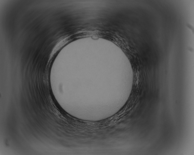 X0000097500004200803201603