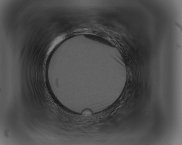 X0000097500006200803201603