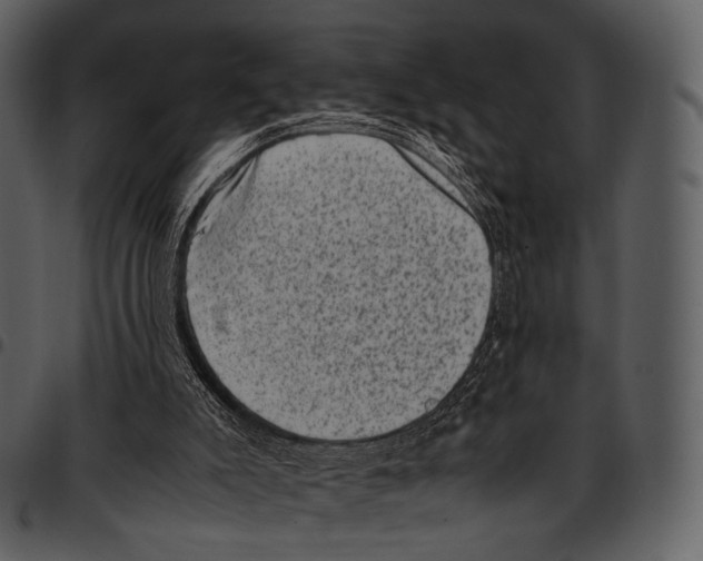 X0000097500007200803201603