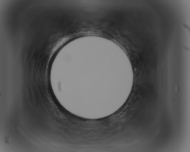 X0000097500008200803201603