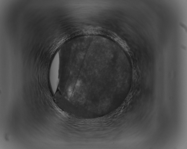 X0000097500009200803201603