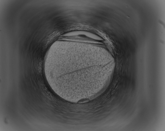 X0000097500010200803201603