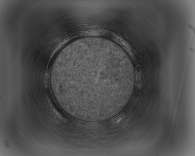 X0000097500012200803201602