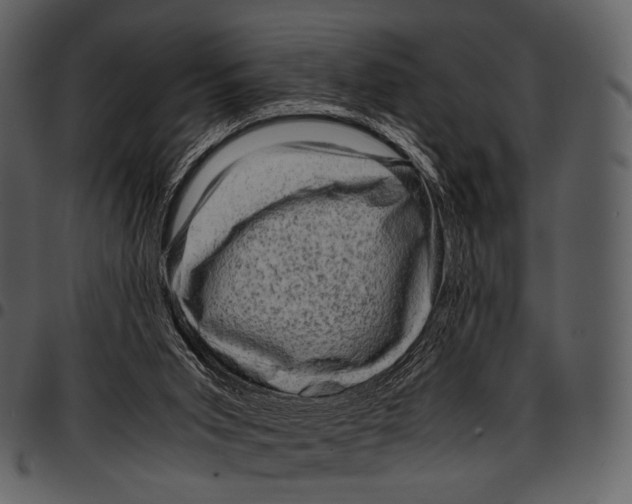 X0000097500015200803201602
