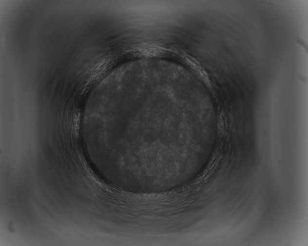 X0000097500018200803201602
