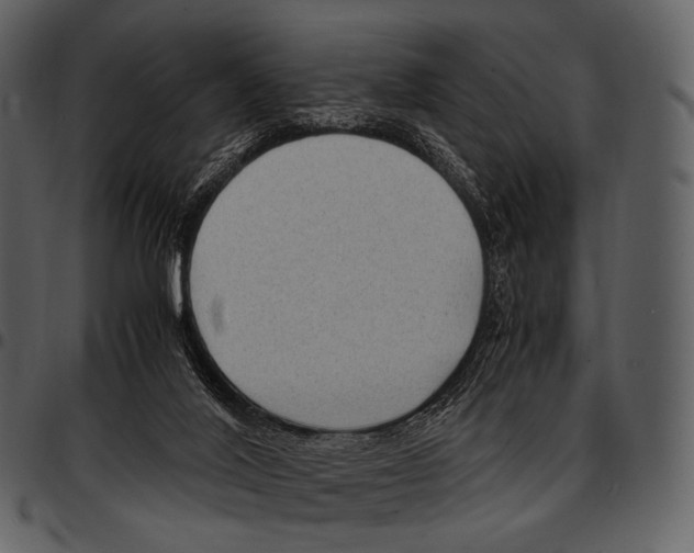 X0000097500020200803201602