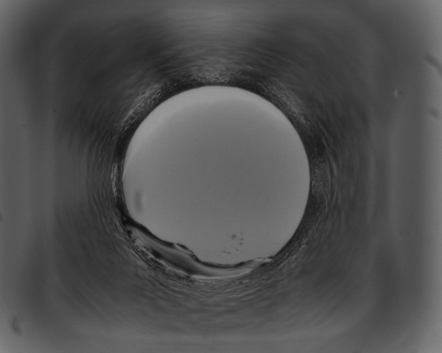 X0000097500023200803201602