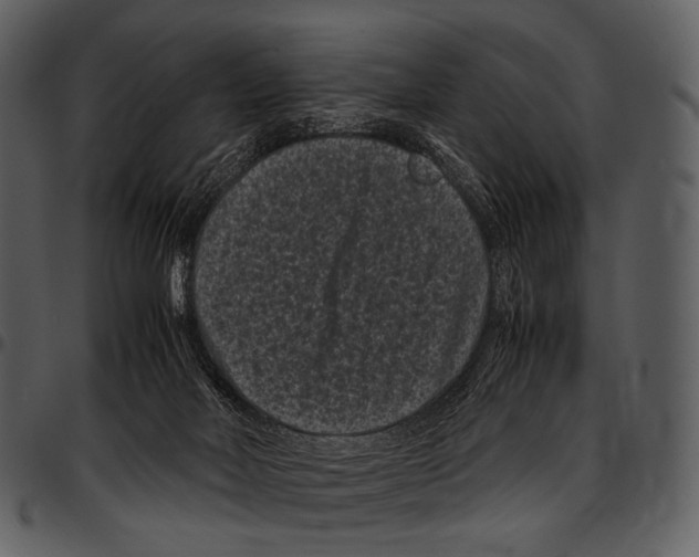 X0000097500026200803201602
