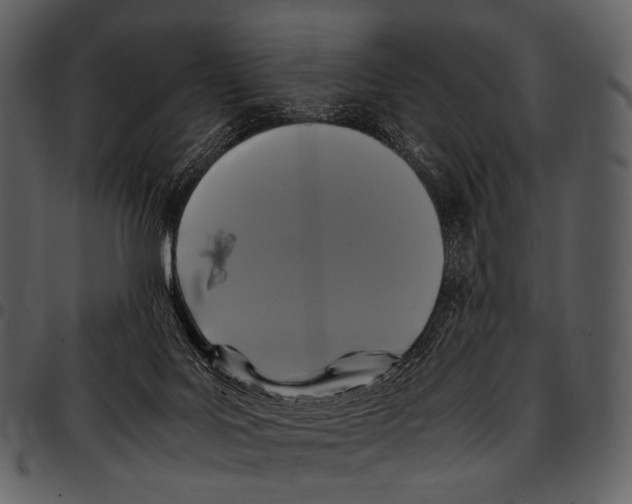 X0000097500027200803201602