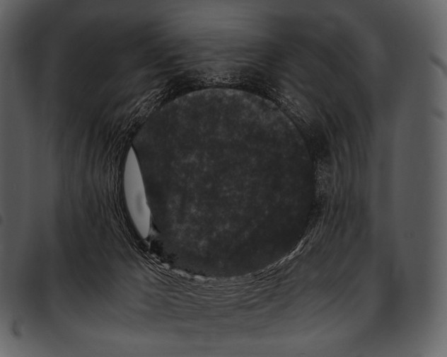 X0000097500029200803201602