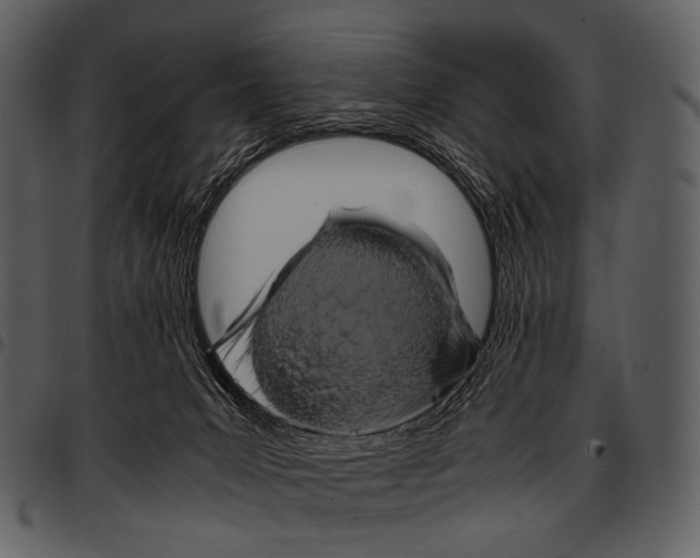 X0000097500031200803201602