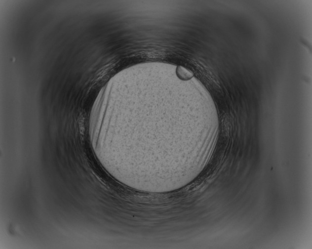 X0000097500032200803201602