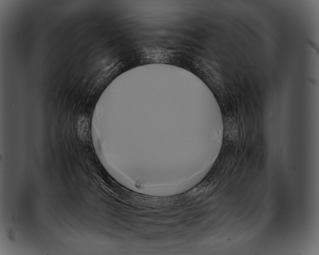 X0000097500036200803201602