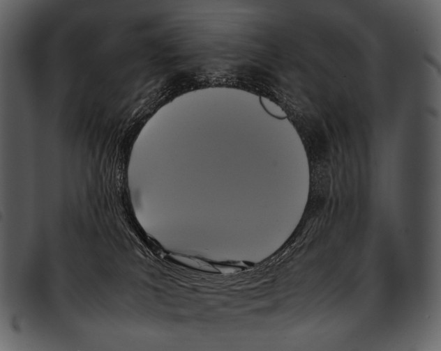 X0000097500039200803201602