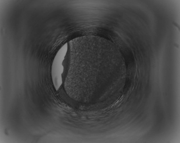 X0000097500041200803201602