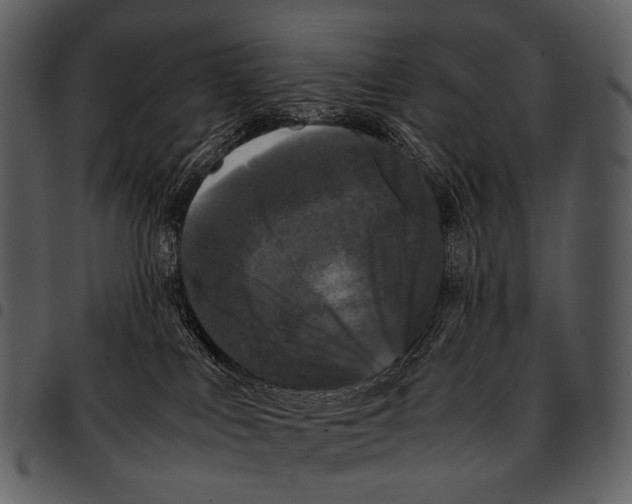 X0000097500043200803201602