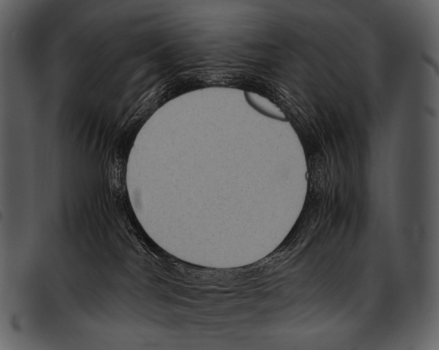 X0000097500044200803201602
