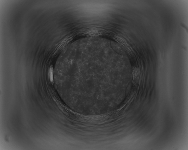 X0000097500046200803201602