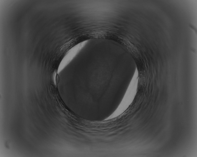 X0000097500047200803201602