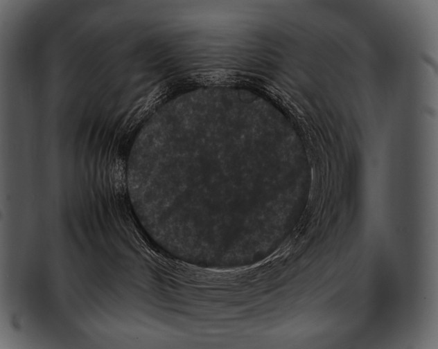 X0000097500048200803201602
