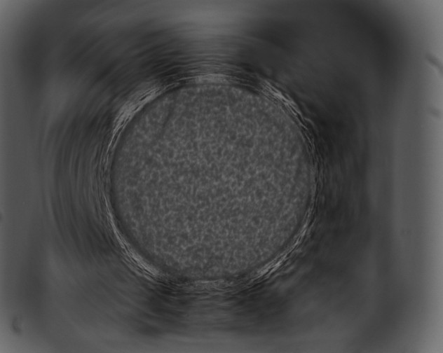X0000097500049200803201601
