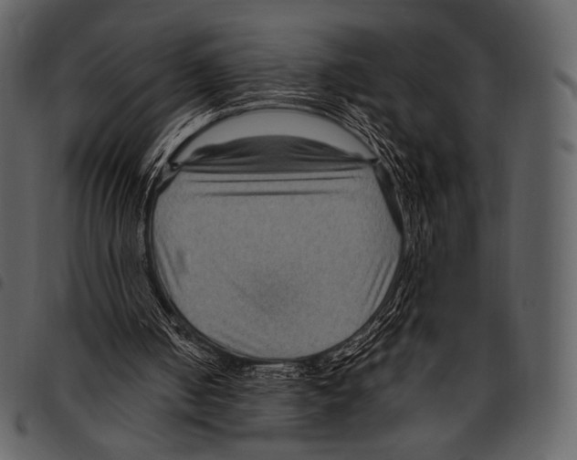 X0000097500050200803201601