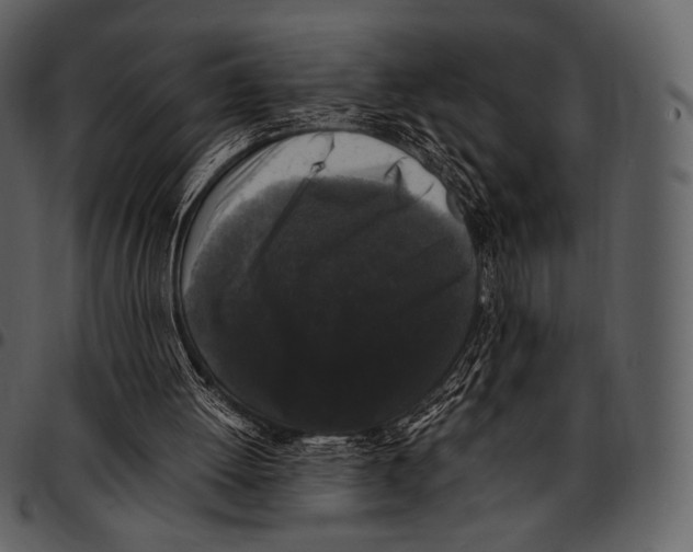 X0000097500052200803201601