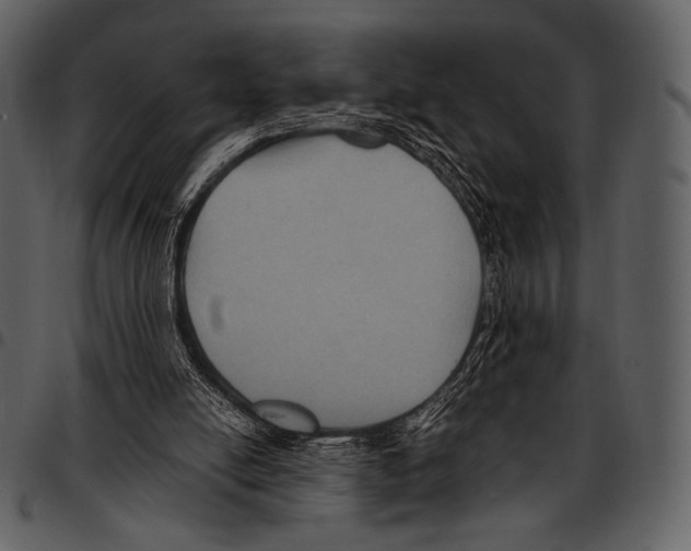X0000097500054200803201601