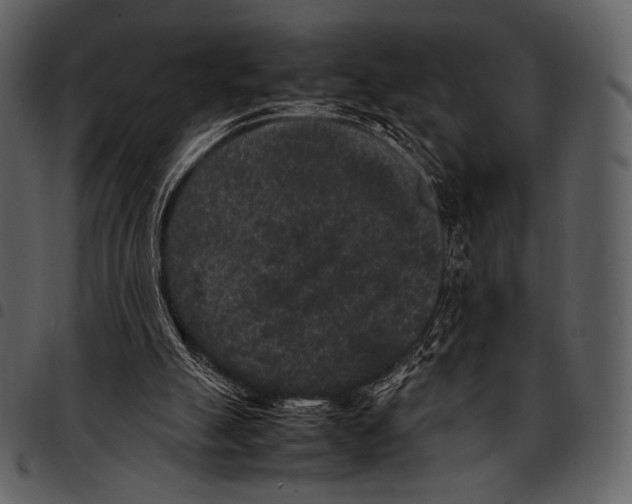 X0000097500055200803201601