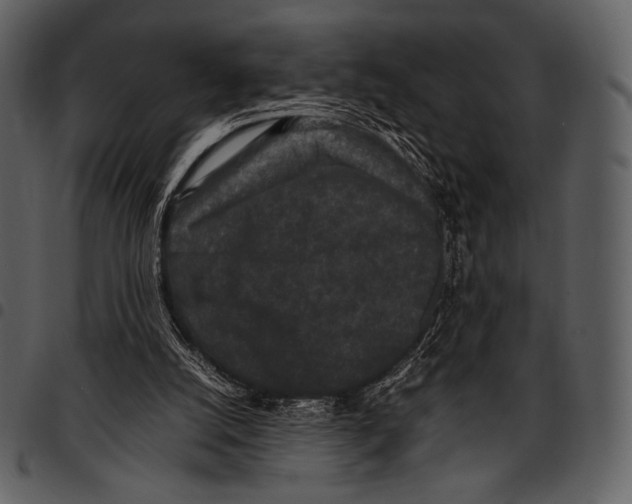 X0000097500056200803201601