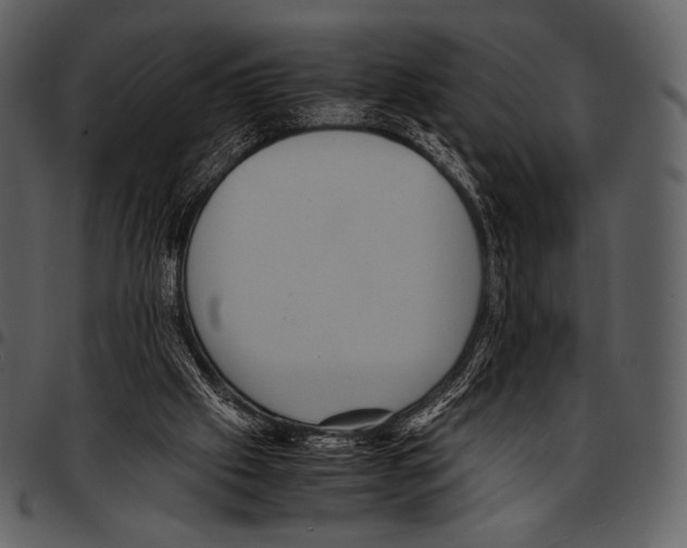 X0000097500057200803201601