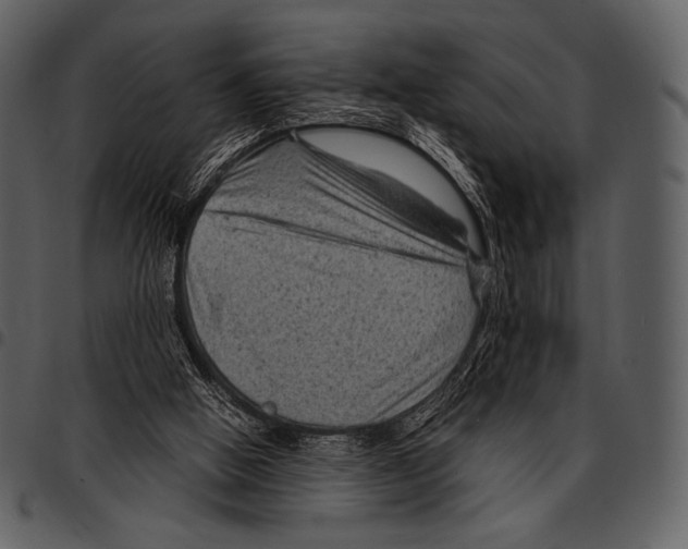 X0000097500058200803201601